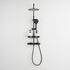 Colonne de douche thermostatique noir Ars Tab - EDOUARD ROUSSEAU
