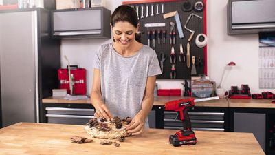 Pistolet colle te-cg 18 lisolo