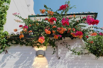 Applique extérieur LED Spezia ronde anthracite IP44 750 lumens blanc chaud - ARLUX