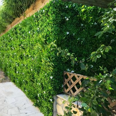 Mur végétal artificiel liseron 1m x 1m AG'CO