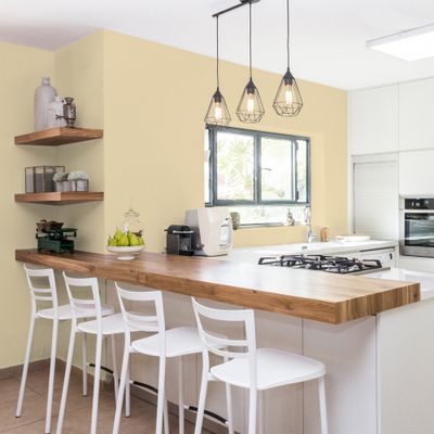 Peinture Cuisine & Bain Jaune Renoir satin 2L RIPOLIN