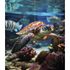 Panneaux muraux de douche 90+90x210 cm tortue DécoDesign Photo - SCHULTE