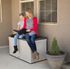 Coffre de jardin 439 litres en polyéthylène LIFETIME