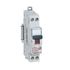 Disjoncteur phase+neutre 10A 3kA - LEGRAND