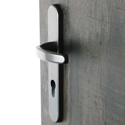 Poignées de porte sur plaques à cylindre Beverly aluminium gris inox ALPERTEC