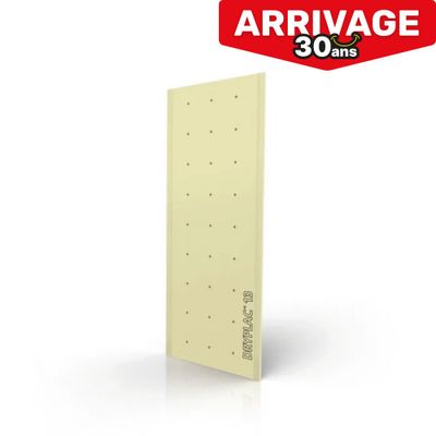 Plaque de plâtre standard BA13 NF Dryplac®pour pièce à vivre - H.250 x l.120 cm