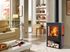 Poêle à bois sur bucher 5,4 kW CORAL 7 étoiles flammes vertes, Livraison à domicile incluse - PANADERO