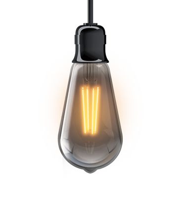 Ampoule Filament LED ST64 Edison 4 W = 230 Lumens blanc chaud XANLITE