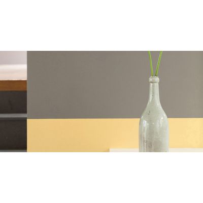 Testeur couleur Pamplemousse 30 mL - DULUX VALENTINE