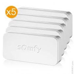 Protect Pack de 5 IntelliTAG pour Home Alarm Accessoire alarme SOMFY -  Mr.Bricolage