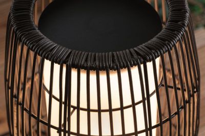 Lanterne lumineuse extérieur LED Link+Light noir IP44 70 lumens blanc chaud - PAULMANN