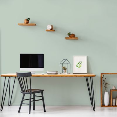 Peinture murs, boiseries et radiateurs vert palation velours 2,5L RIPOLIN