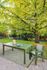 Tapis 120x180 vert et blanc JARDILINE