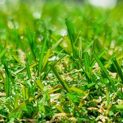 Gazon synthétique Cassis 20 mm 2 m x 3 m AG'CO