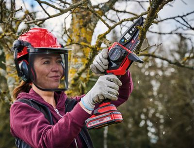 Elagueuse sans fil GE-PS 18/15 avec sac EINHELL