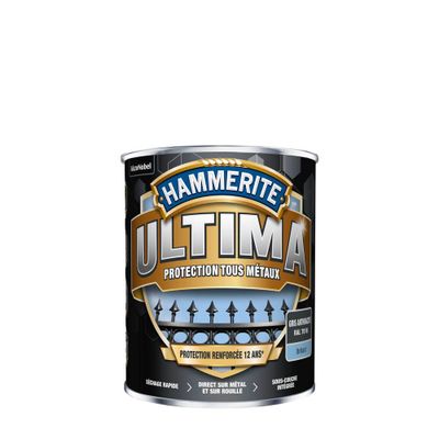 Peinture fer extérieur ultima gris anthracite RAL 7016 brillant 0,75 L - HAMMERITE