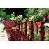 Peinture fer antirouille rouge basque RAL 3004 brillant 2 L - JULIEN