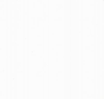 Faïence blanche murale intérieur lisse ép 6,6 mm 20 x 20 cm paquet de 1 m² ELYSSA TRADING