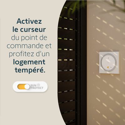 Kit motorisation radio pour volet roulant RMS 1700 - SOMFY