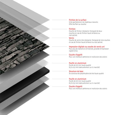 Panneau mural de douche 100x210 cm parement ardoise DécoDesign Décor - SCHULTE