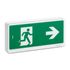 Bloc de secours BAES évacuation LED SATI 45 lumens IP42 - ExiwayLight SCHNEIDER ELECTRIC