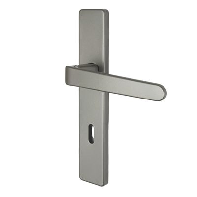 Poignées de porte sur plaques à clé double entraxe Celio gris ALPERTEC