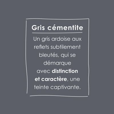 Peinture O'PUR Satin Gris CEMENTITE 2 L - RIPOLIN
