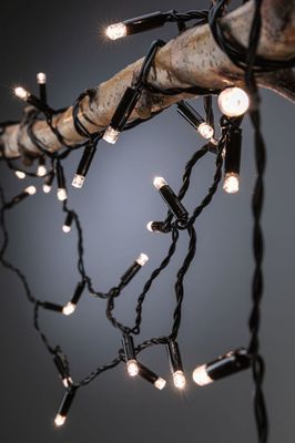 Guirlande lumineuse extérieur LED 6,7m Link+Light IP44 48x2 lumens blanc chaud -  PAULMANN