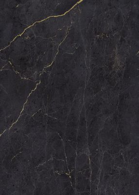 Panneau mural de douche 150x210 cm marbre anthracite or DécoDesign Softtouch - SCHULTE