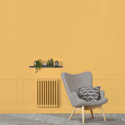 Peinture murs, boiseries et radiateurs jaune niki mat 0,5L RIPOLIN