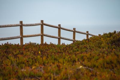 Rondin bois en pin traité autoclave classe 4 - Ø140 x 2500 mm - HENRY TIMBER
