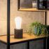 Ampoule LED EDISON E27 Dépolie 1055 lumens Blanc chaud XANLITE