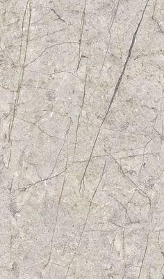 Panneau mural de douche 150x255 cm pierre greige veiné DécoDesign Softtouch - SCHULTE