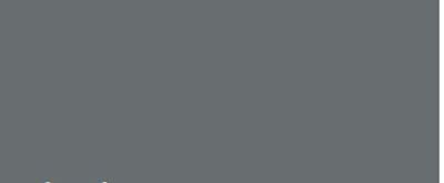 Peinture Color Resist murs et boiseries Charbon mat 0,5 L - DULUX VALENTINE
