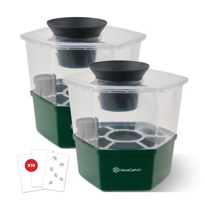 Piège anti-ponte de moustique par lot de 2 Hexacatch MASTER TRAP