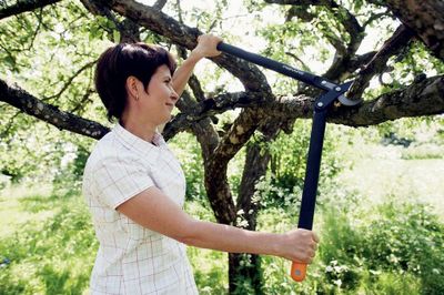 Coupe-branche L78 Powergear à crémaillère 69.2 cm FISKARS