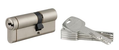 Cylindre de serrure double entrée 30 x 50 mm Transit 1 haute sécurité nickelé 5 clés THIRARD