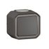 Bouton poussoir étanche IP55 en saillie Anthracite - Plexo LEGRAND