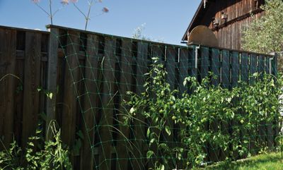 Filet à ramer vert pour plantes grimpantes 2 x 5 m maille 150 mm - WINDHAGER