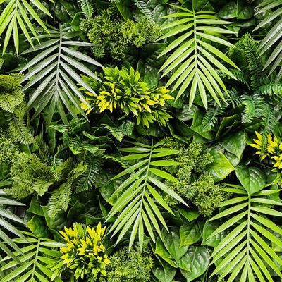 Mur végétal artificiel Exotic 1m x 1m AG'CO