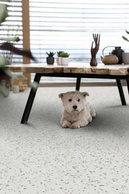 Sol PVC décor confettis émeraude PRIMETEX rouleau de 2m vendu au m² GERFLOR