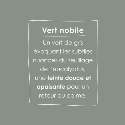 Peinture O'PUR Satin VERT NOBILE 2 L - RIPOLIN