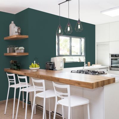 Peinture Cuisine & Bain Vert Armerie 2L RIPOLIN