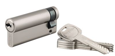 Demi-cylindre de serrure 60 x 10 mm Trafic 6 haute sécurité nickelé 5 clés THIRARD