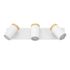 Réglette 3 spots salle de bains GU10 Consuma blanc et bois IP44 9W - EGLO