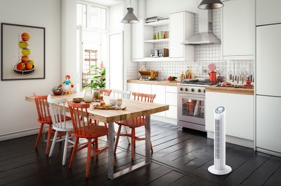 Ventilateur colonne DAKOTA 75 cm 45 W - FARELEK