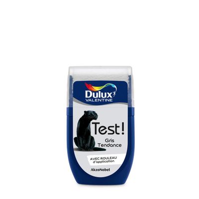 Testeur couleur Gris Tendance 30 ml - DULUX VALENTINE