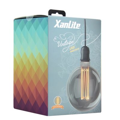 Ampoule LED G125 Hologramme globe verre fumé 100 lumens blanc chaud - XANLITE