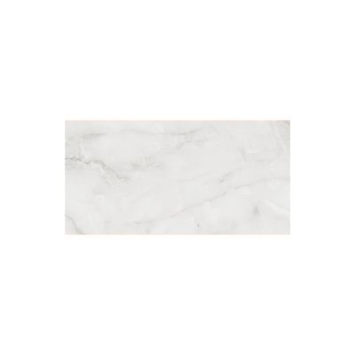 Carrelage de sol intérieur effet marbre gris ROYAL ONYX ép 9mm 60x120 cm 1.44 pqt/m² ELYSSA TRADING