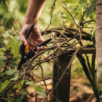 Coupe branches à crémaillière et sécateur FISKARS